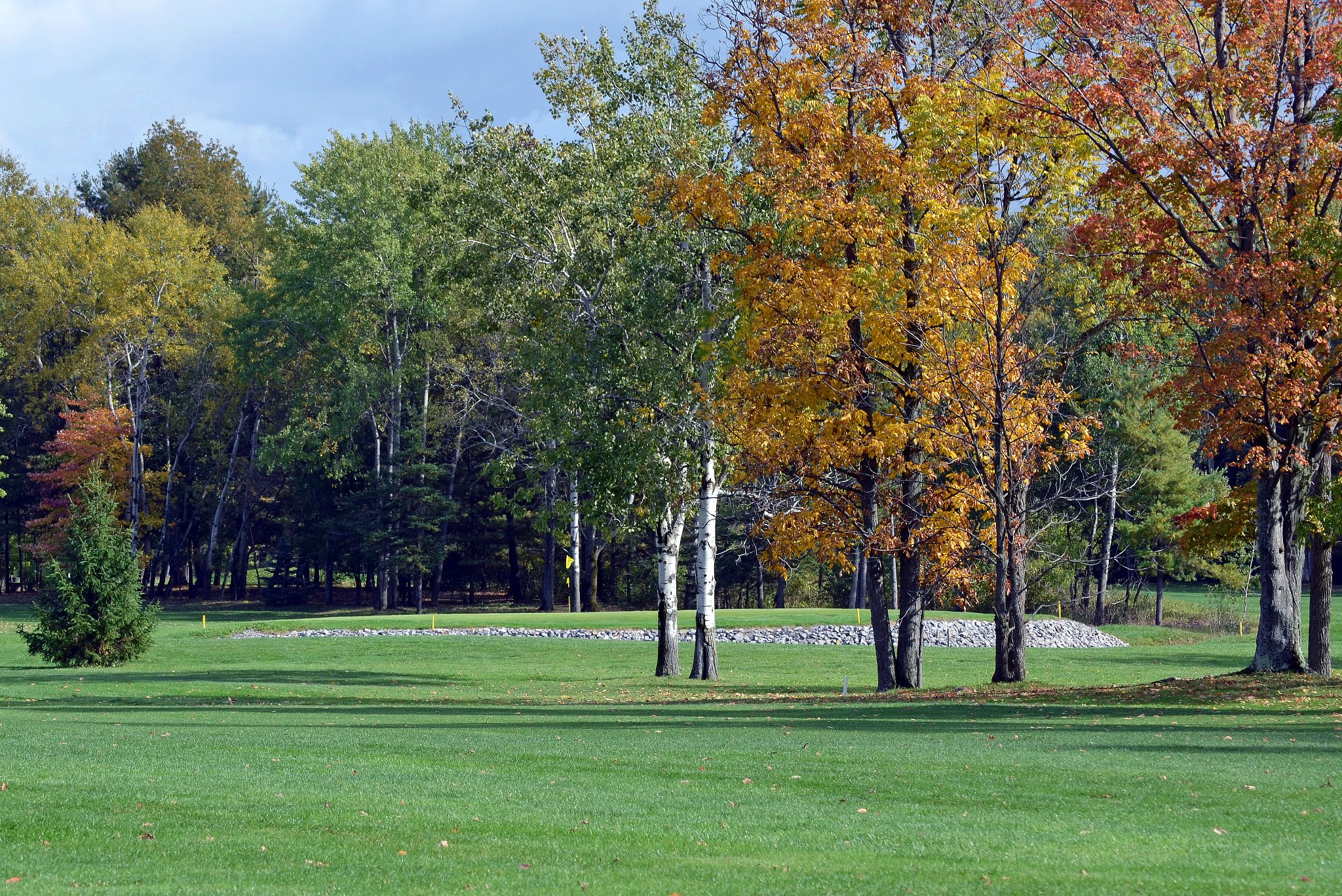 Hillendale GC Golf Card International