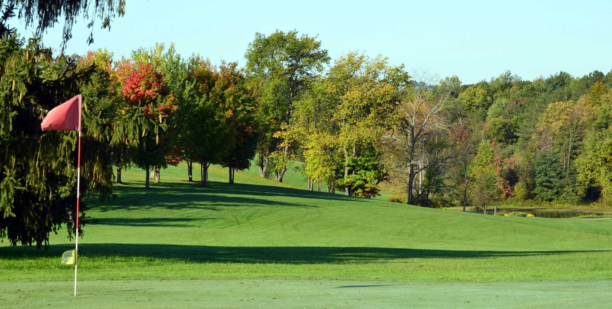 Hillendale GC Golf Card International